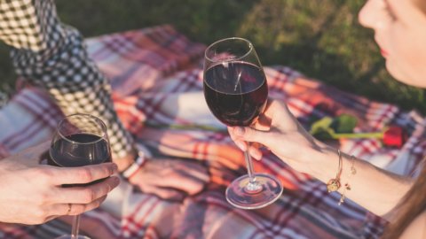 Etichetta UE sui rischi del vino: per il nutrizionista è questione di responsabilità individuale, informare non è mai sbagliato