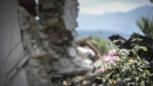 Terremoto Amatrice