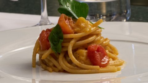 XNUMX つのトマトのスパゲトーニ: ヴェネト通りのフローラ レストランのシェフ、ピッコロのレシピによる洗練されたシンプルさ