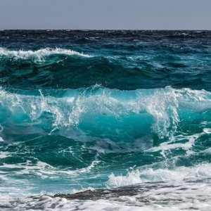 Aire protégée d'Alto Mare : pourquoi l'accord de l'ONU est si important pour la pêche et l'environnement. Comment sera-t-il appliqué ?