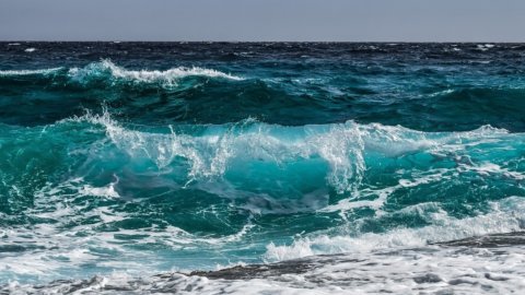 Alto Mare koruma alanı: BM anlaşması balıkçılık ve çevre için neden bu kadar önemli? Nasıl uygulanacak?