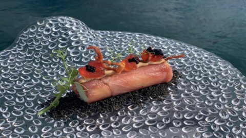 Tuna cannolo, tuma, speck and cherries: in chef Caliri's recipe, the Sicilian spirit discovers unusual flavors