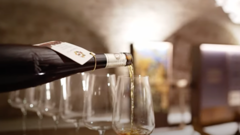 Il vino ( non il Vin ) santo: ad aprile in Valle dei Laghi e a Trento si celebra “DiVin Nosiola”