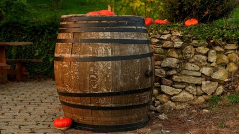 Vini Veri: a Cerea dal 31 marzo al 2 aprile è di scena il vino secondo natura, identitario dei territori d’origine