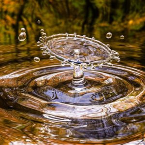 Lvmh si impegna per la conservazione dell’acqua: un piano per ridurre l’impronta idrica del Gruppo del 30% entro il 2030