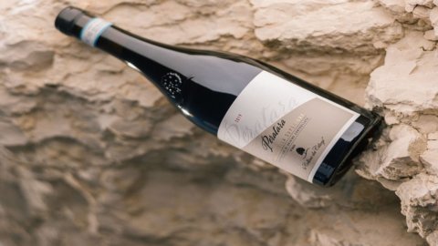 Вино: Peratara, новый Valpolicella Superiore DOC 2019 в ограниченном выпуске