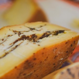 “Formaggi & Sorrisi, cheese & friends” de 24 a 26 de março em Cremona para descobrir tesouros escondidos, curiosidades lácteas e harmonizações