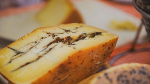 “Formaggi & Sorrisi, cheese & friends” de 24 a 26 de março em Cremona para descobrir tesouros escondidos, curiosidades lácteas e harmonizações