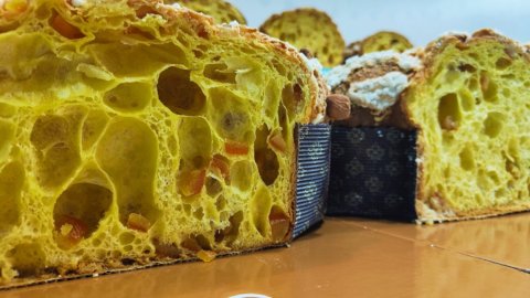 Divina Colomba 2023: Apulien das beste traditionelle Oster-Colomba, Lombarda das beste Kreative