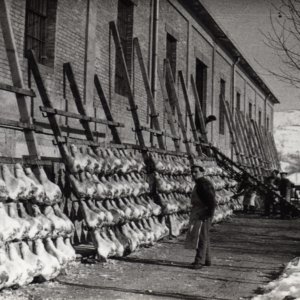 Prosciutto di Parma: sessanta anni fa la nascita del consorzio che ha tutelato un prodotto leader del made in Italy