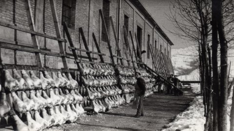 Parmaschinken: Vor sechzig Jahren die Geburtsstunde des Konsortiums, das ein führendes Produkt Made in Italy geschützt hat