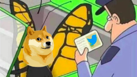 Маск меняет логотип Twitter: с птицы на собаку Dogecoin. За этим может стоять иск на 258 миллиардов долларов