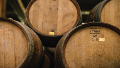 Aceto Balsamico di Modena: il consorzio celebra trenta anni con numeri da primato e preannuncia un secondo livello IGP-DOP