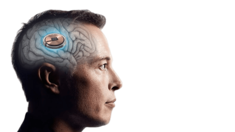Chip nel cervello, Fda approva la sperimentazione umana per gli impianti di Neuralink: qual’è lo scopo di Musk?