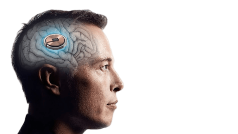 Chip nel cervello, Fda approva la sperimentazione umana per gli impianti di Neuralink: qual è lo scopo di Musk?