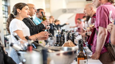 Berebianco: in Rome an event entirely dedicated to great wines for aging