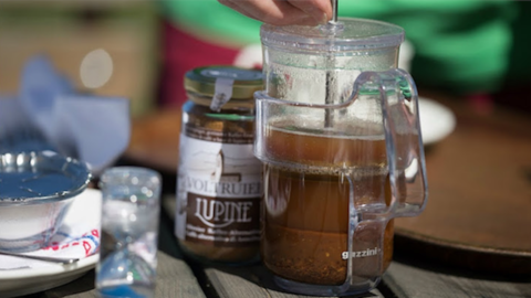 アンテリボ ルピナス、マメ科植物... 飲む! カフェインを含まない優れたコーヒー代替品