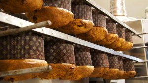 Produzione di panettone