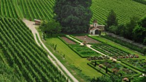 abbazia stiftsgarten