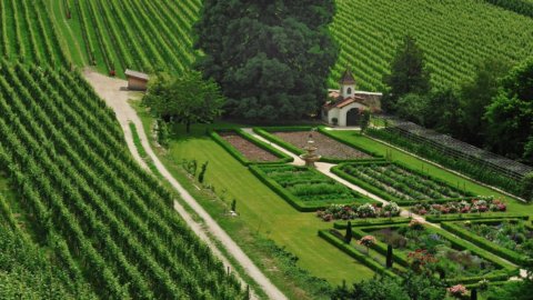 Vini d'Abbazia: from 2 to 4 June the wines of Italian monasteries meet in the ancient village of Fossanova