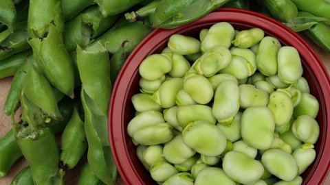 Dried broad beans: nutritional prodigy ... for those who can afford it, essential against Parkinson's