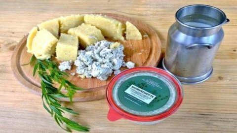 Saurnschotte, l’antico e pregiato formaggio al dragoncello riportato in vita da due sorelle di Sappada