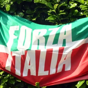 Forza Italia senza Berlusconi: a chi andrà il simbolo e chi pagherà i debiti? Meloni pigliatutto?