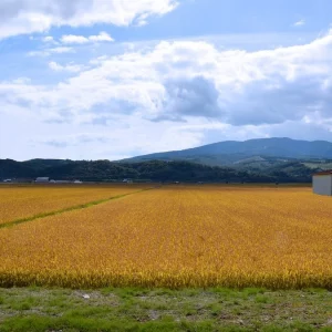 Molise'deki yatırımlar için CDP ve BPM'den 30 milyon Euro'dan Caputo unlarına