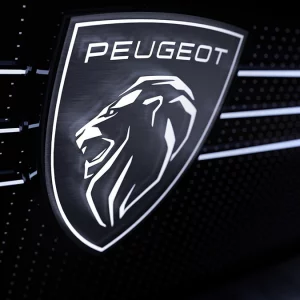 Peugeot, due discendenti della litigiosa dinastia si contendono un posto nel cda di Stellantis. E cresce l’influenza degli Agnelli