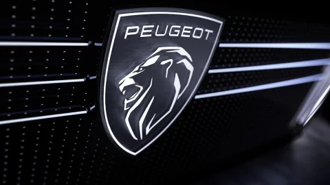 Peugeot, due discendenti della litigiosa dinastia si contendono un posto nel cda di Stellantis. E cresce l’influenza degli Agnelli