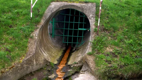 Journée mondiale de l'environnement consacrée à la lutte contre le plastique sauvage : l'UE exhorte le gouvernement à appliquer les lois