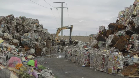 Dünya Çevre Günü için Assoambiente: atık yönetimi için yeni girişim