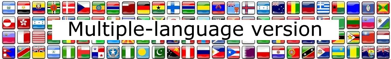 Narrow Multi-language banner