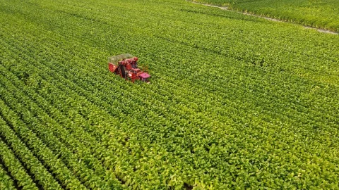 Philip Morris fête ses 60 ans en Italie : une transformation vers les produits les plus innovants