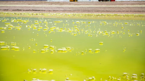 Enerji geçişi, Araplar Brezilya'da alışverişe gidiyor: Vale'nin nadir metallerinin %10'u alındı