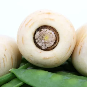 Recuperare la pastinaca di Capitignano: presto Presidio Slow Food, tutto quello che c’è da sapere sulla finta carota bianca