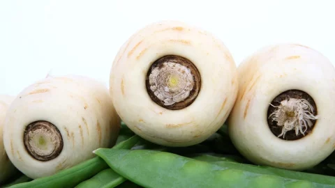 Memulihkan ubi Capitignano: segera Presidium Slow Food, semua yang perlu Anda ketahui tentang wortel putih palsu