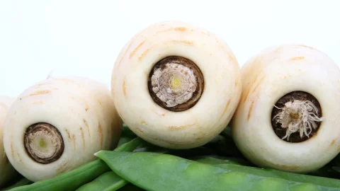 Recuperare la pastinaca di Capitignano: presto Presidio Slow Food, tutto quello che c’è da sapere sulla finta carota bianca