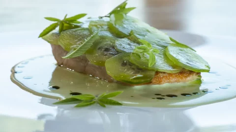 La ricetta del salmone scottato, verbena e cetrioli dello chef Daniel Zeilinga, l’estate dietetica e salutare in tavola