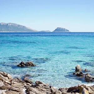 Sardegna alla ricerca di turisti last minute, prezzi delle navi e degli aerei quasi dimezzati: ecco perché