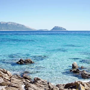 Sardinia looking for last minute tourists, ship and plane prices almost halved: that's why