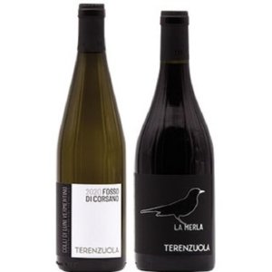 Vino: Terenzuola La Merla Canaiolo Toscana IGT, un concentrado de historia y naturaleza