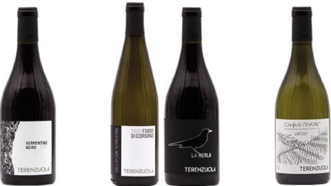 Vino: Terenzuola La Merla Canaiolo IGT Toscano, un concentrato di storia e natura