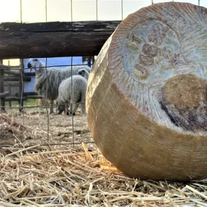 Käse: Pecorino Siciliano DOP, seine Visitenkarte sind die Weiden von Trinacria