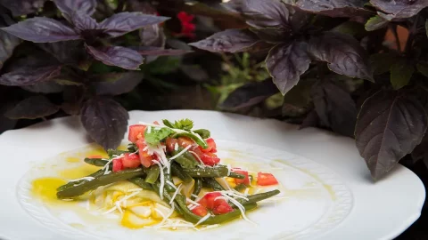 Das rohe und gekochte Gemüse: der Triumph der Einfachheit des Geschmacks im Rezept von Chefkoch Stefano D'Onghia