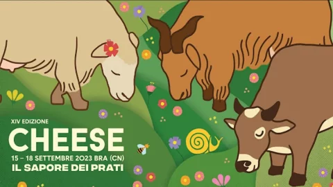 Keju 2023, dari 15 hingga 18 September di Bra the great cheese festival: inilah beberapa yang harus dicicipi