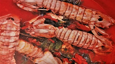 Easy Fish: panduan untuk memilih ikan dengan benar dan memasaknya dengan penuh semangat. Resep udang mantis dengan sawi putih