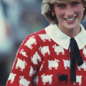 Lady Diana asta record per maglione