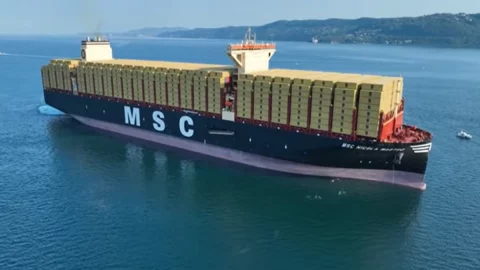 एमएससी ने हैम्बर्ग बंदरगाह के 49% हिस्से के लिए अधिग्रहण बोली शुरू की है और इसका लक्ष्य प्रति वर्ष दस लाख कंटेनरों को स्थानांतरित करना है।