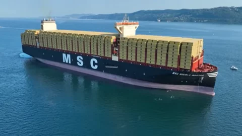 Msc lancia l’Opa sul 49% del porto di Amburgo e punta a muovere un milione di container l’anno